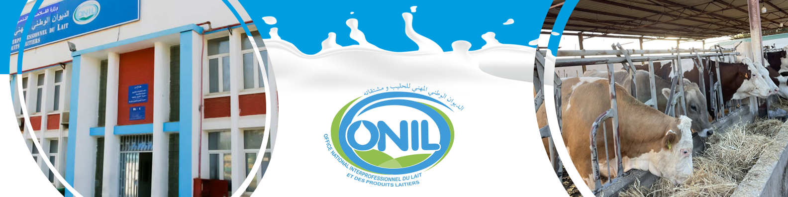 الديوان الوطني المهني للحليب ومشتقاته